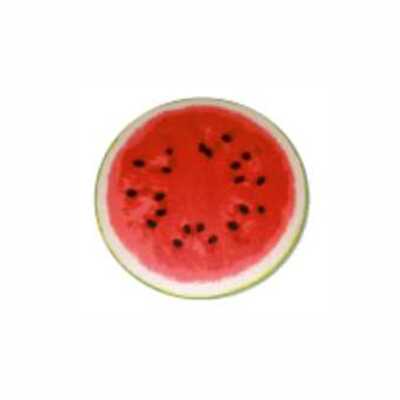 ../frankl24shop/Ausstattung-Bodenbeläge-Teppiche- Teppich Melone